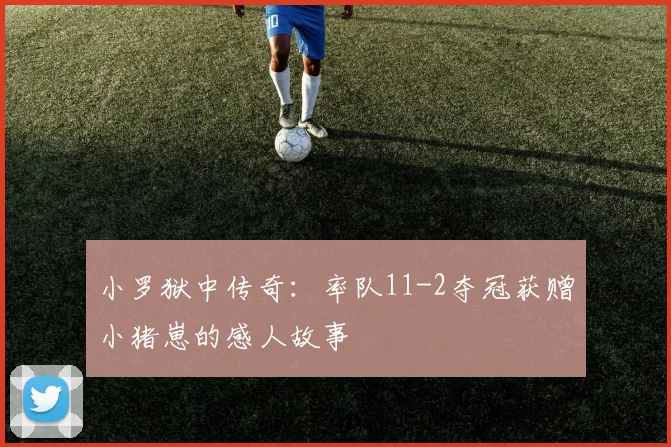 小罗狱中传奇：率队11-2夺冠获赠小猪崽的感人故事